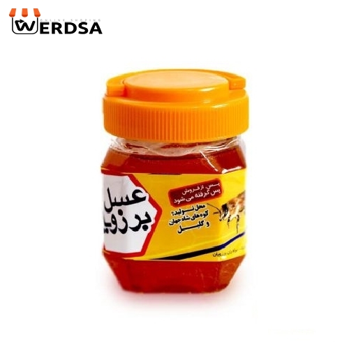 عسل گشنیز 2 کیلویی موم دار