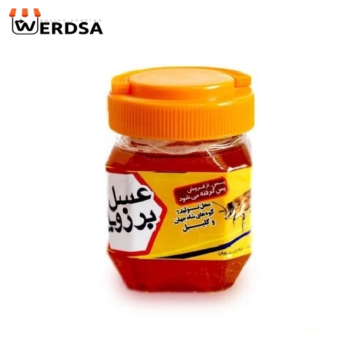 عسل گشنیز 2 کیلویی موم دار