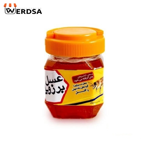 عسل گشنیز 2 کیلویی موم دار