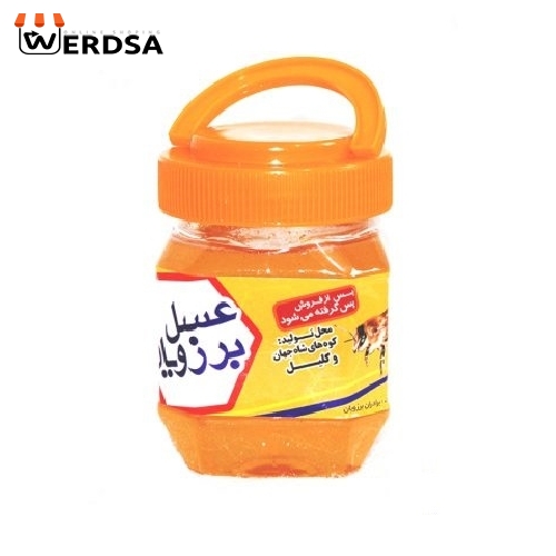 عسل بهارنارنج 1 کیلویی خام و صاف