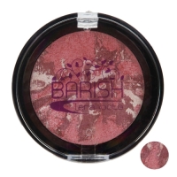 رژگونه تراکوتا باریش مدل Silky touch شماره 204